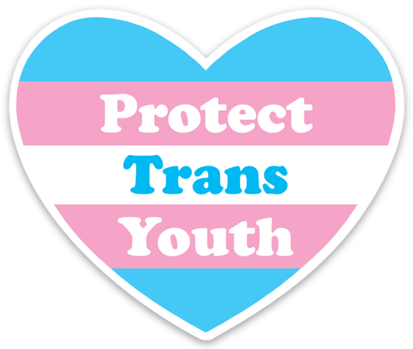 Die Cut Magnet - Protect Trans Youth