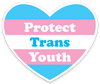 Die Cut Magnet - Protect Trans Youth